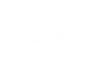 Teur